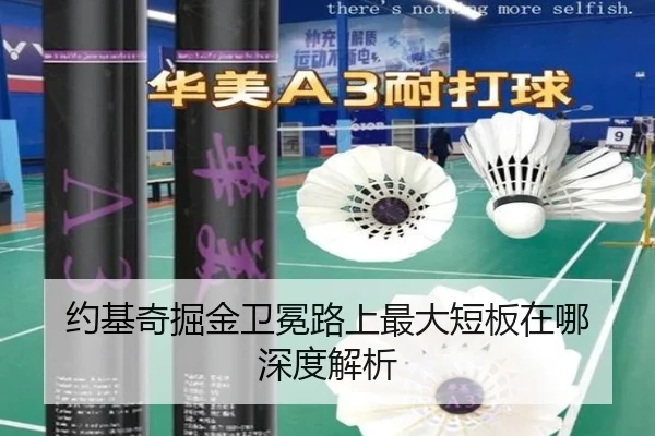 约基奇掘金卫冕路上最大短板在哪 深度解析