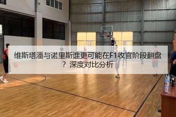 维斯塔潘与诺里斯谁更可能在F1收官阶段翻盘？深度对比分析